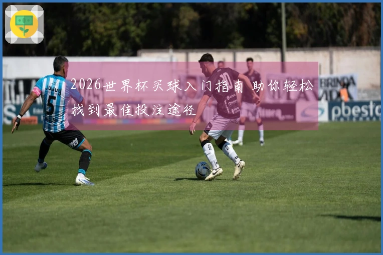 2026世界杯买球入门指南 助你轻松找到最佳投注途径
